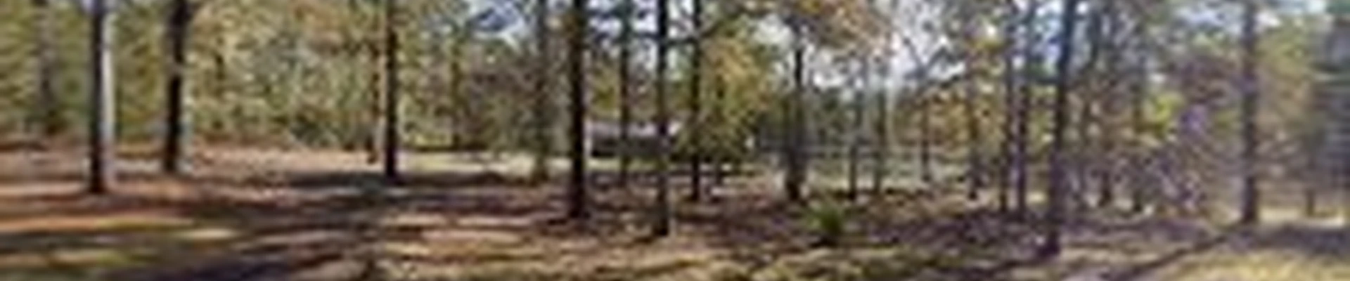 Around The House And Tree Resources