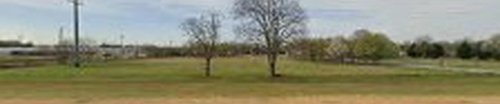 Southern Tree Surgeons