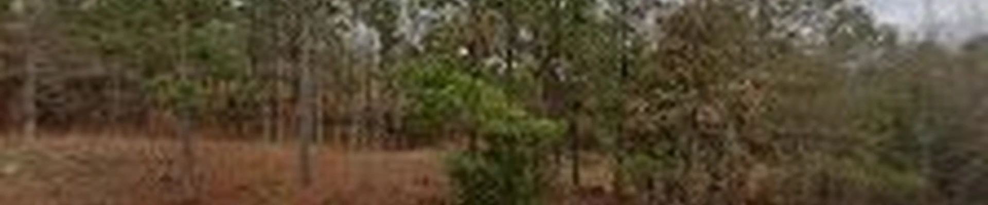 Trimmer Up Tree Service LLC