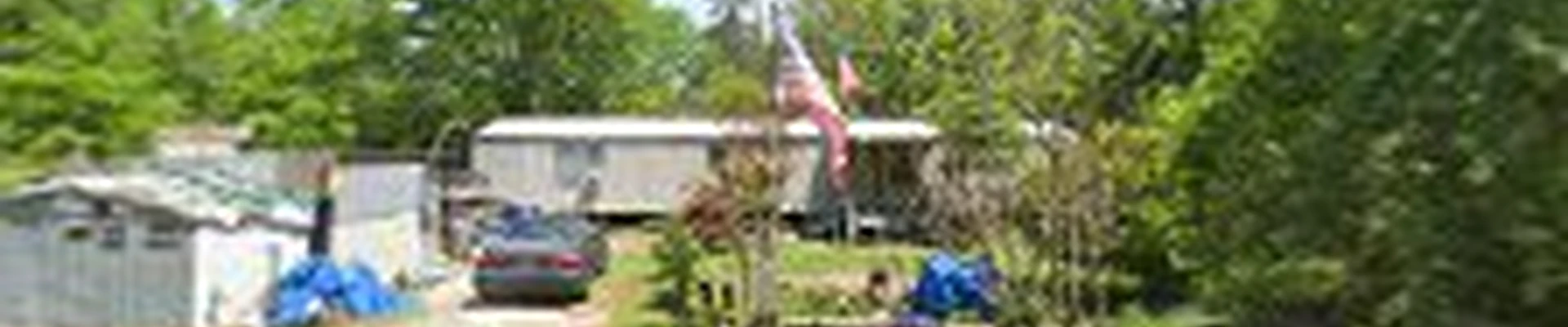 TREE LIFE tree service 31 years