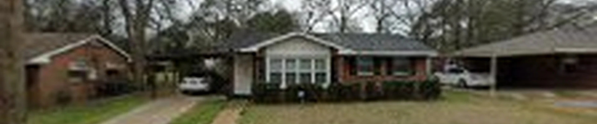 Douglas Professional Lawn Care Services