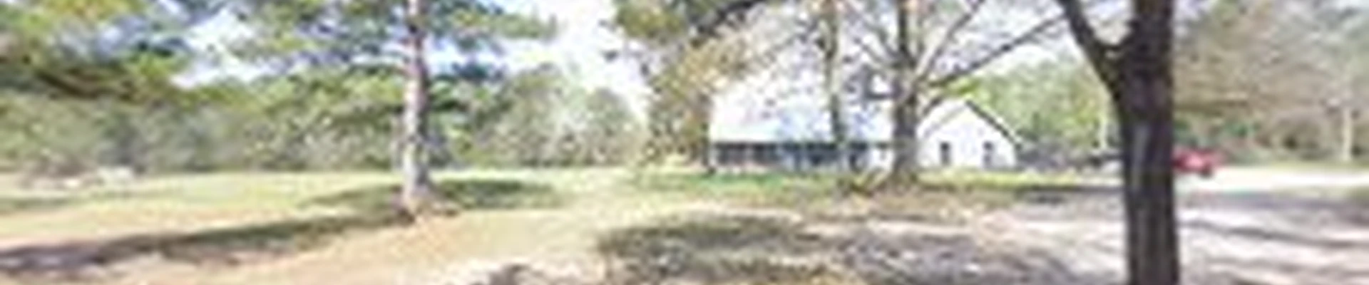 3D Tree Service