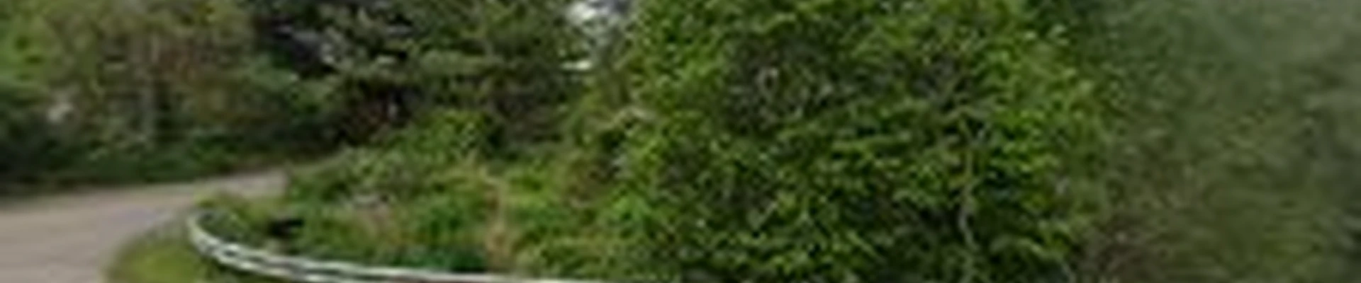 American Tree Works LLC