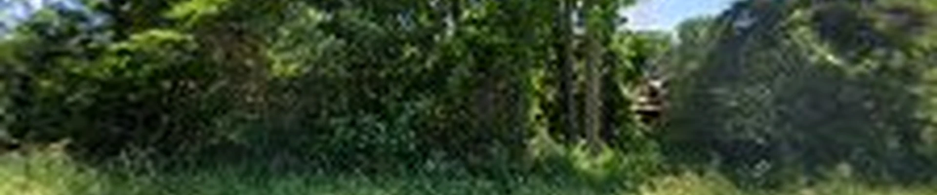 Top Notch Tree Service
