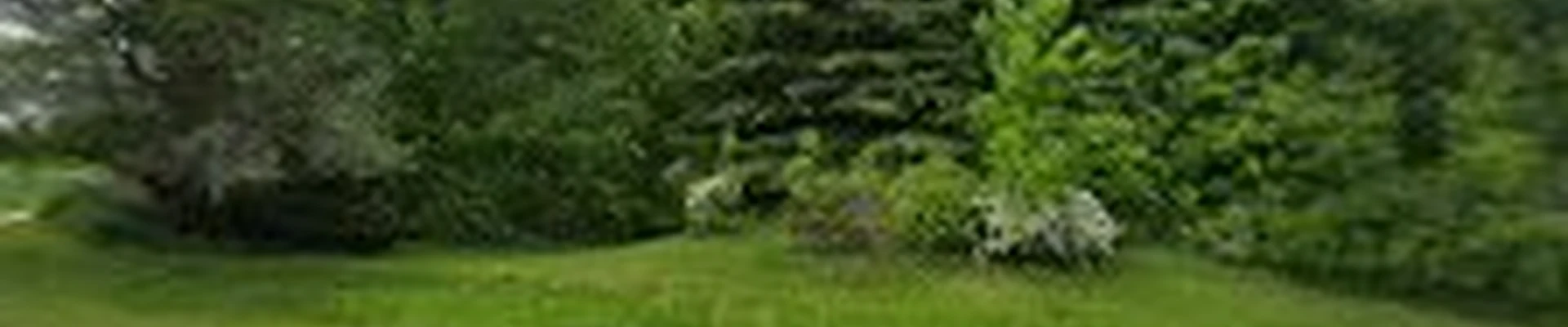 Muller Brothers Tree Service LLC
