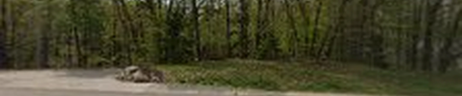 Great Lakes Tree Service, LLC