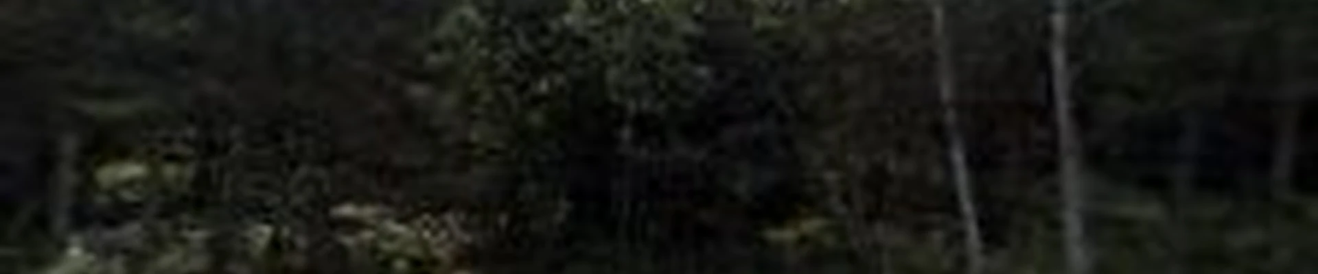 Rogue River Tree Service LLC