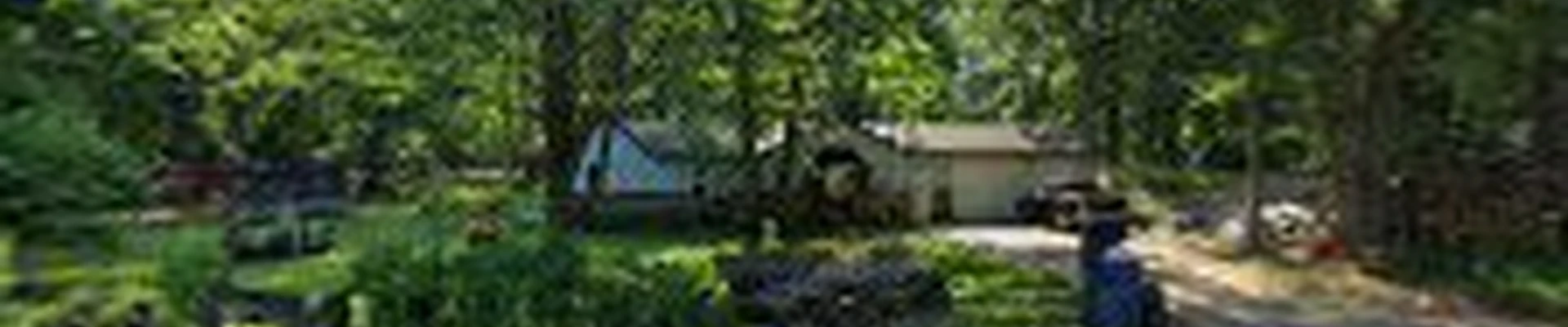 Lake Tree Service