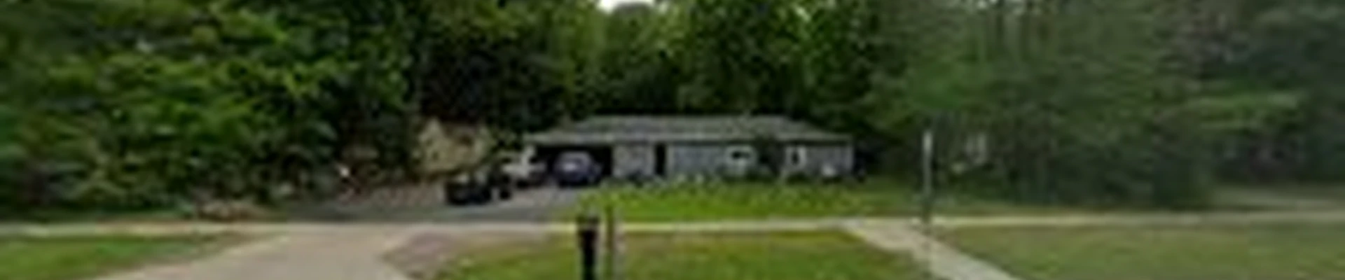 Forest Green Tree Service LLC