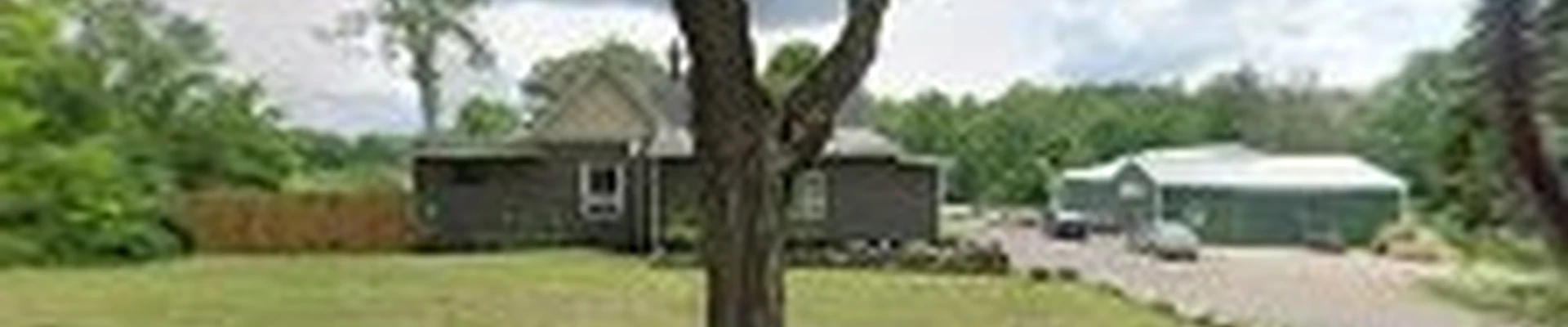 That Guy Tree Service - Tree Removal, Tree Cutting and Stump Grinding Service