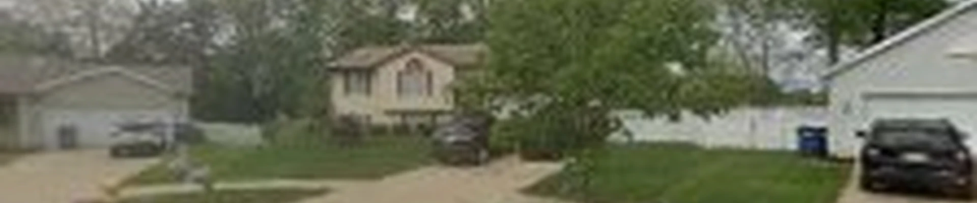 Grand Rapids Tree Service