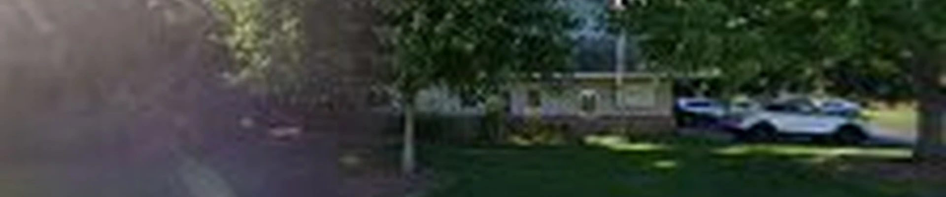 Bartlett Tree Experts