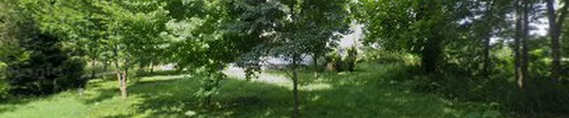 Michigan Tree Fellers LLC