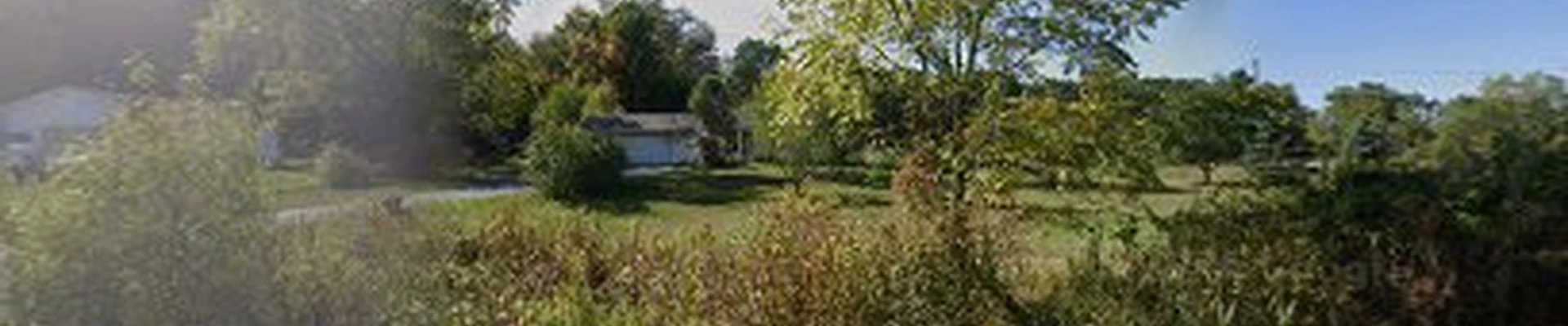 Rockford Tree Service