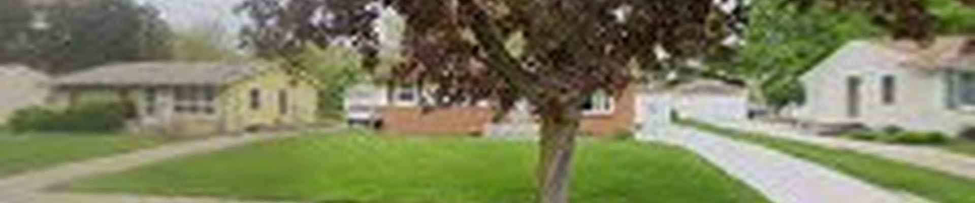 ADG Lawncare Services, LLC