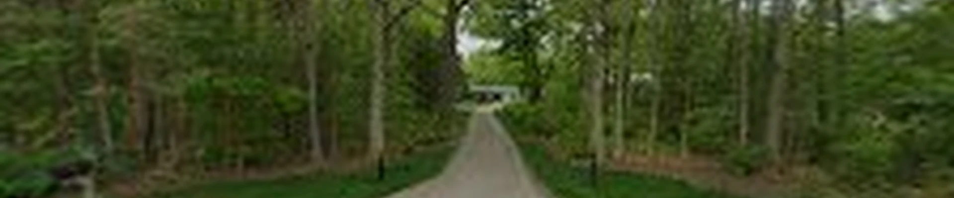 Top Care Lawn Maintenance LLC