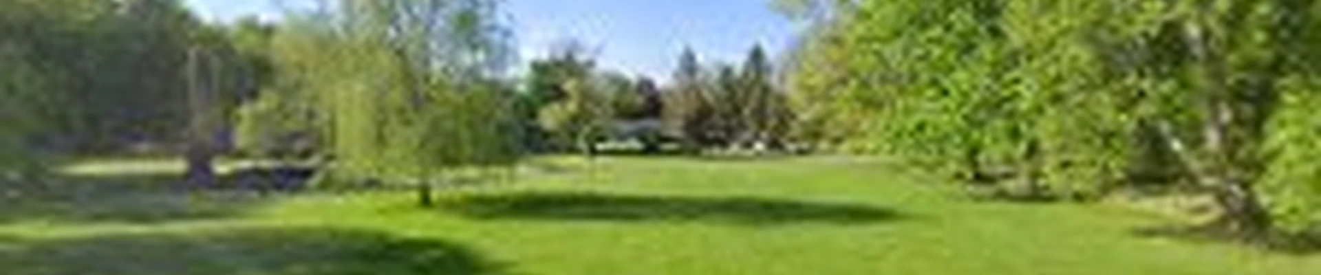 Cut & Trim Lawncare