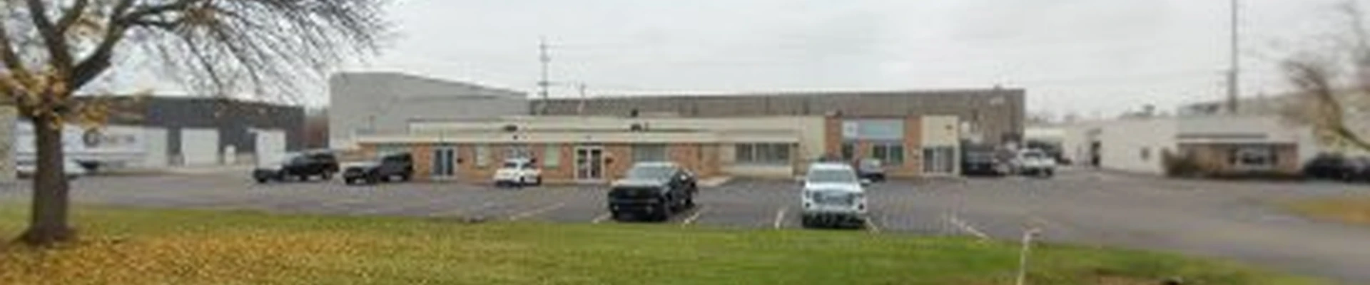 Nu-Arbor Tree & Shrub Care