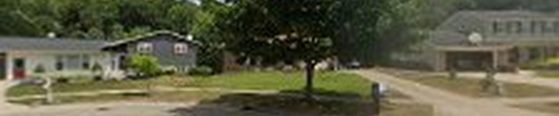 Parshall Tree Care Experts