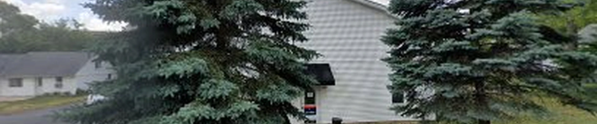 Pure Green Lawn and Tree Professionals