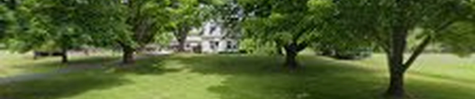 Progressive Tree Service LLC