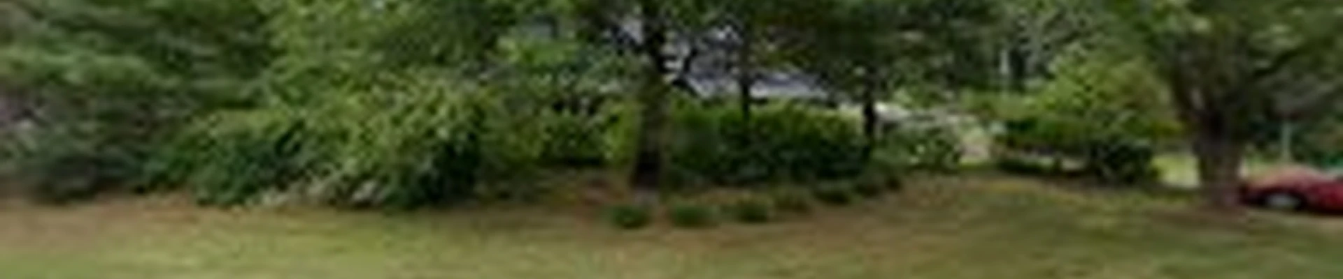A4 Trees