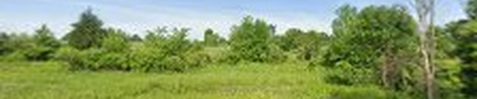 Fremont Tree, LLC