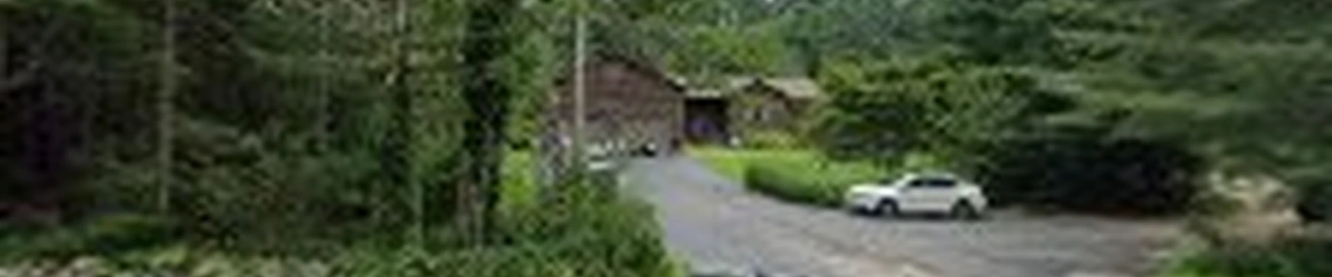 Kent County Tree Services