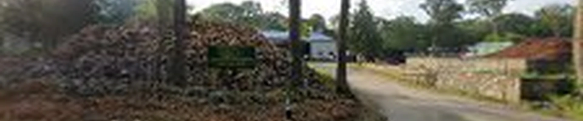 AllScapes Tree Service - Emergency Tree Removal, Trimming, Installation and Stump Grinding - Exeter, RI Office