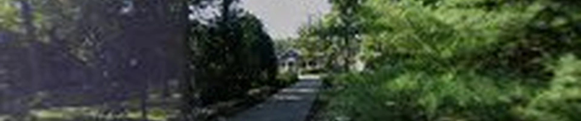 SavATree - Tree Service & Lawn Care