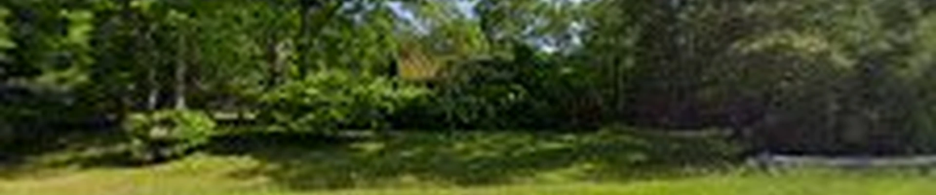 Southern 401 Tree Service INC