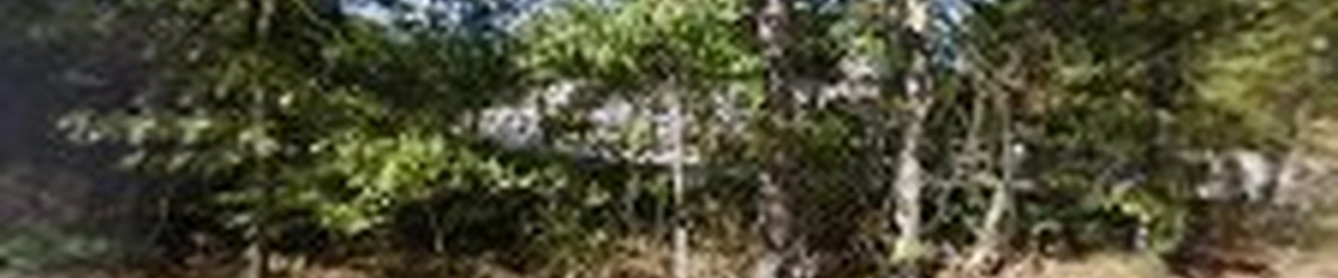 Tree Works Unlimited
