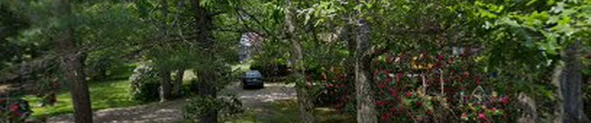 Wallace Tree Service