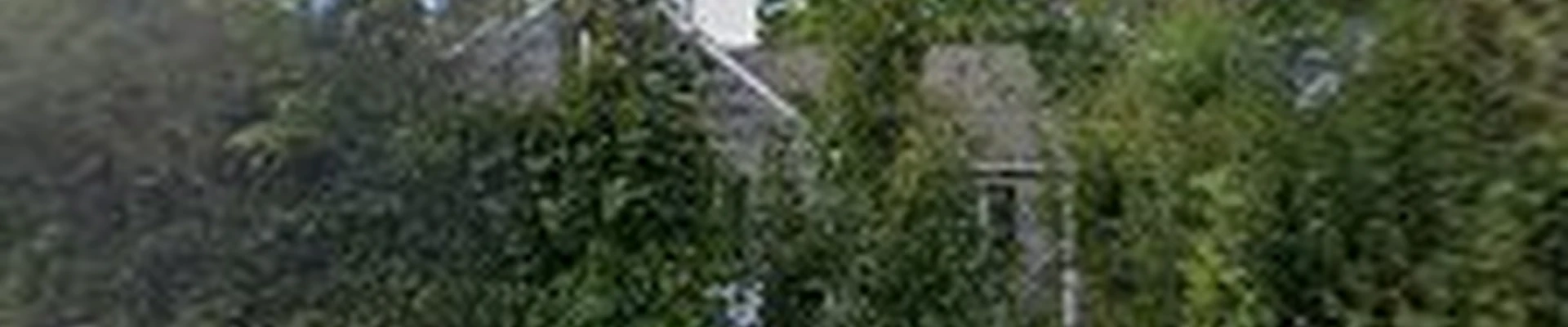 Foisy Tree Care