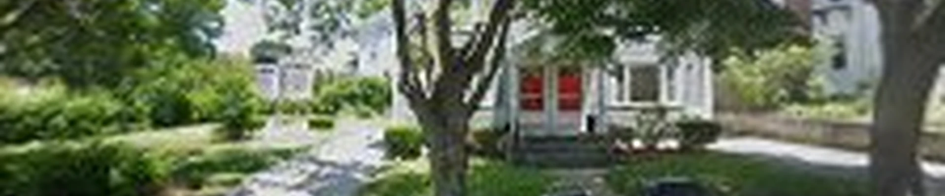 New England Lawn Maintenance
