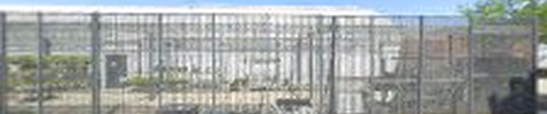 Walmart Garden Center