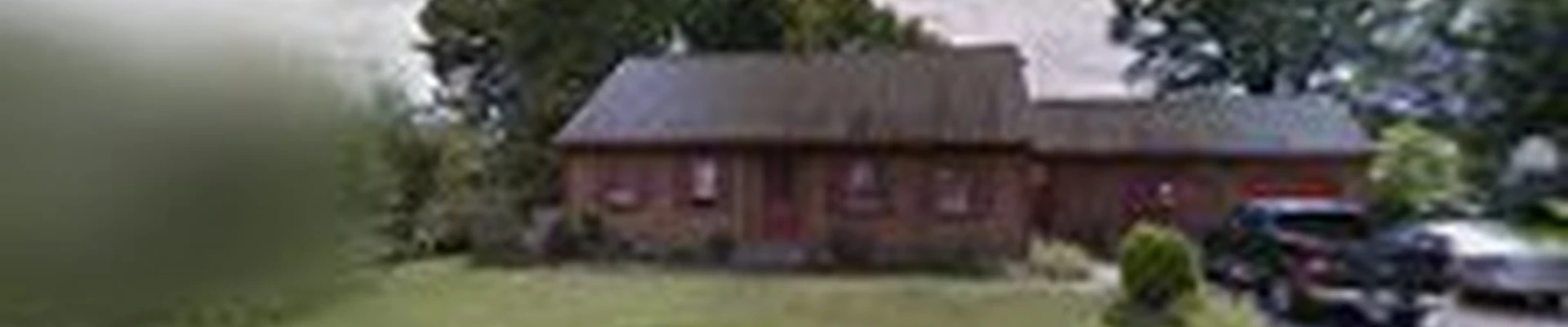 Statewide Tree And Stump Service