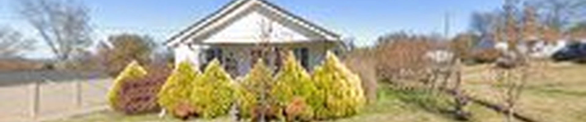 Finnley Tree -licensed and insured