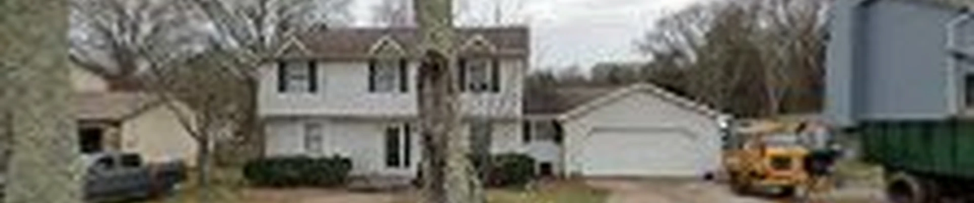 Tree man Tree Service