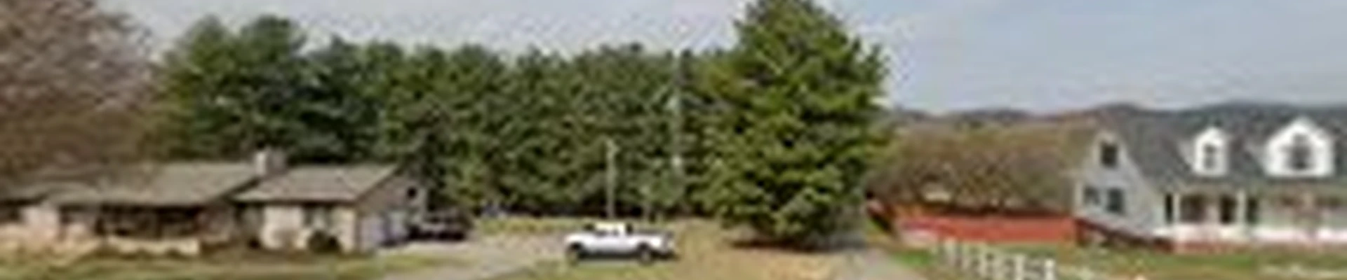 Dave's Tree and Stump Service