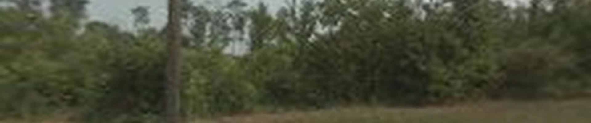 Volunteer Land Development LLC