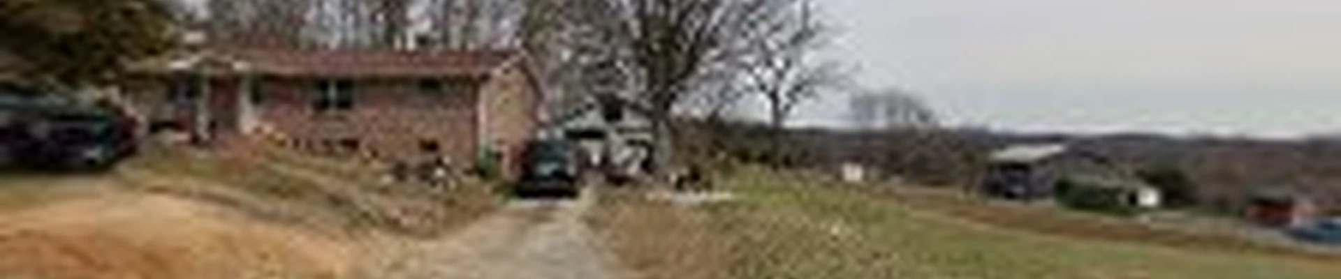 Lowery's Tree Service