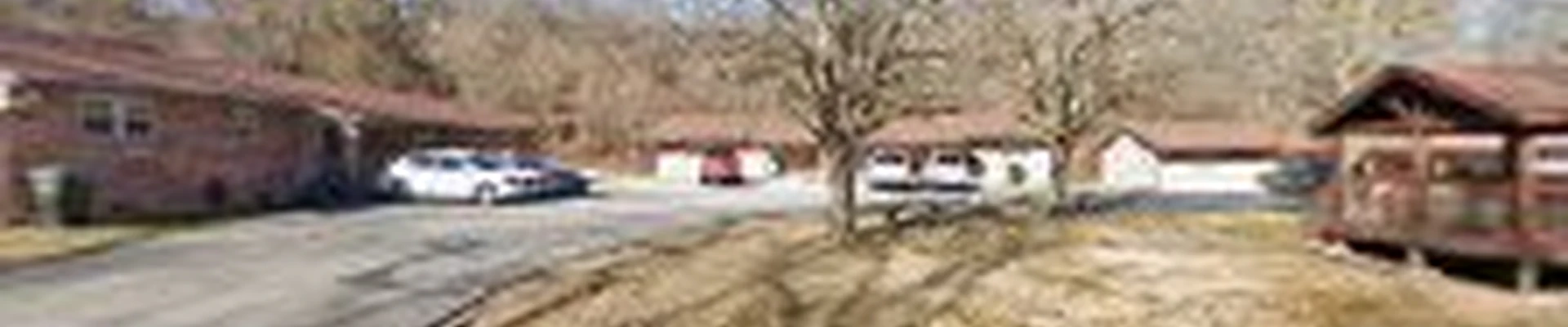 Wood Tree Service