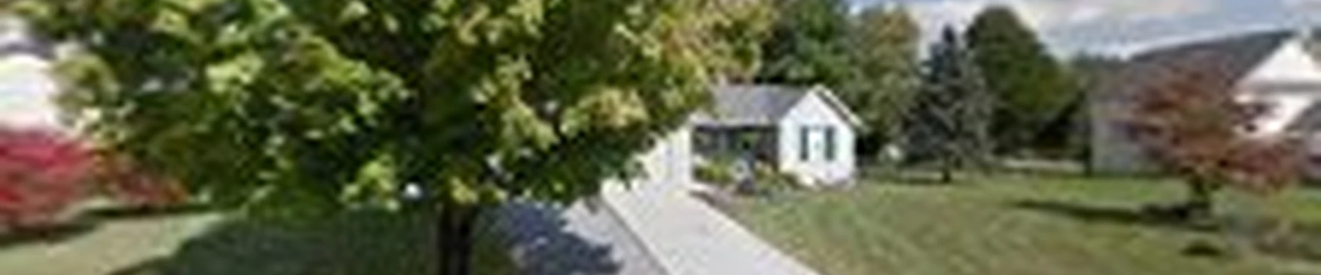 A&C Professional Tree Service