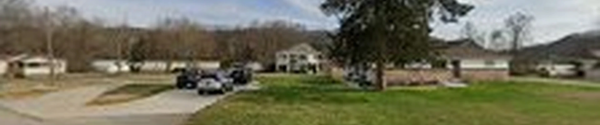 Elite Tree Service
