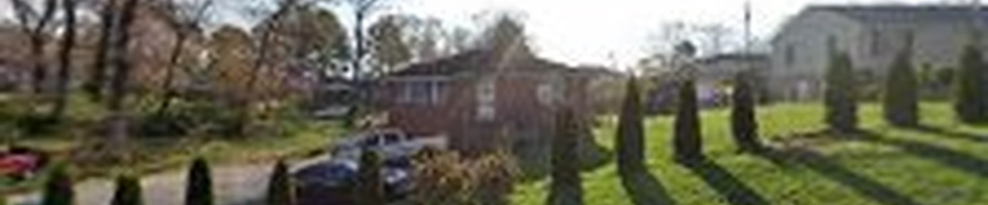 Tree Service Dener Vasquez