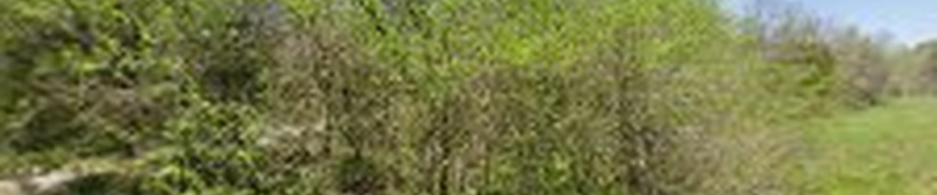 Lucky’s Tree Removal and Landscape Services