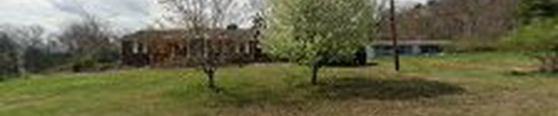 Tree-rific Tree Service