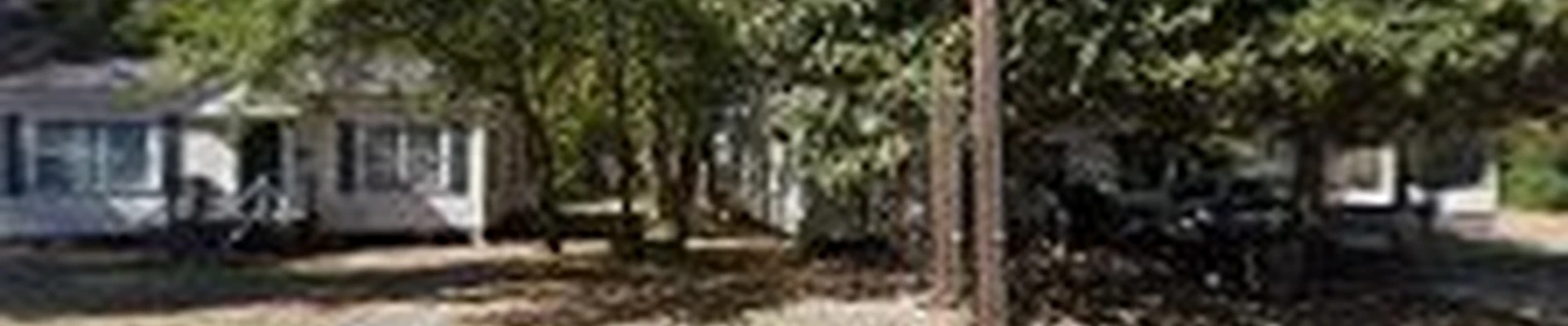 M.A.C's Tree Care
