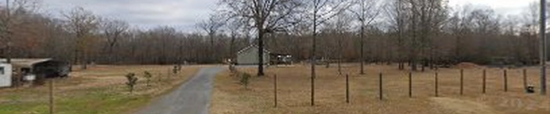 Special Tree Care LLC